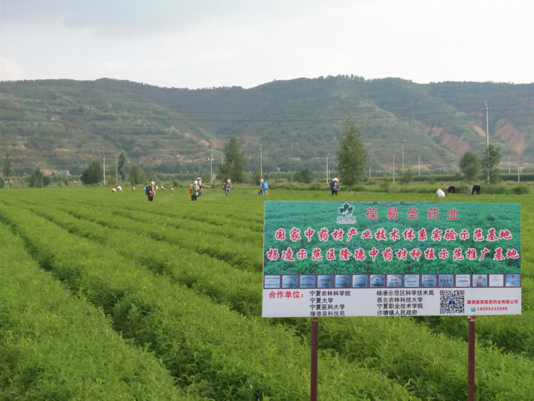 走出楊淩看示範｜科技賦能+展會經濟雙引擎 激發藥食同源發展新動能_fororder_33