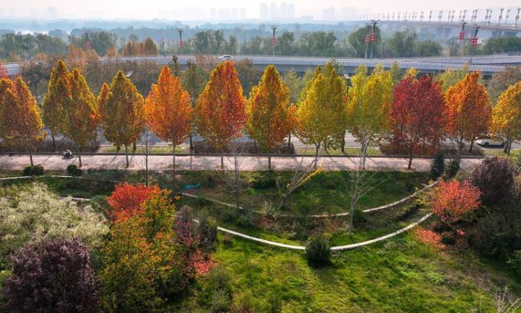 秦漢新城渭河北岸冬日盛景