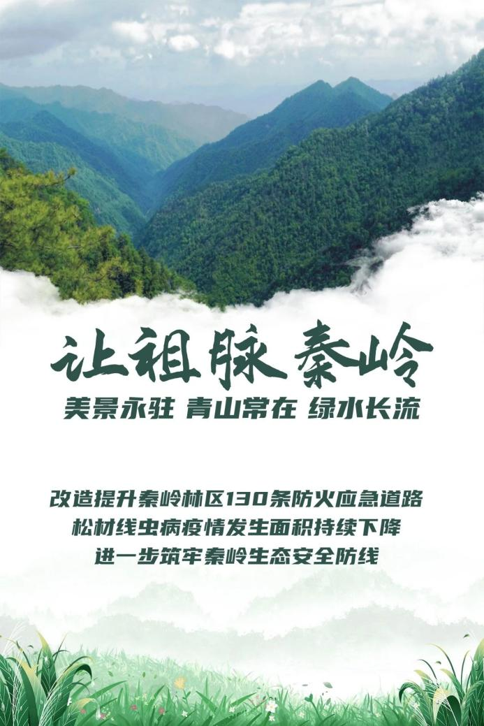 陜西：當好秦嶺生態衛士 繪就“綠水青山”新畫卷_fororder_圖片3