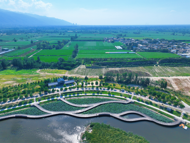 一條河煥新一座城 華陰長澗河繪就幸福水岸新圖景_fororder_圖片8