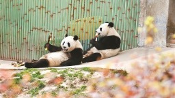 圖片默認標題