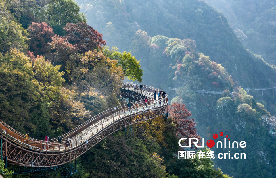 【至“陜”至美】少華秋色“醉”遊人_fororder_圖片4