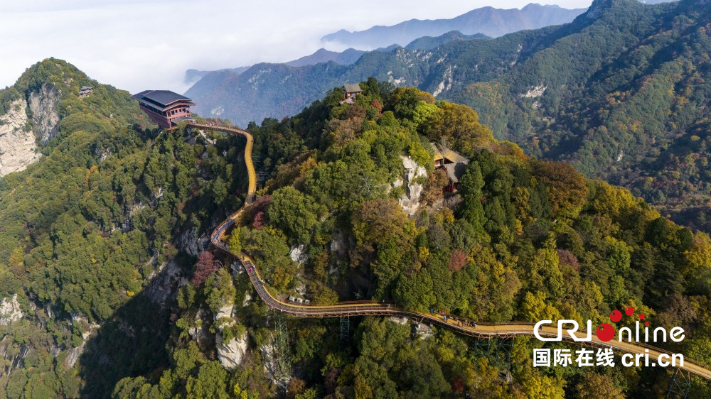 【至“陜”至美】少華秋色“醉”遊人_fororder_圖片7