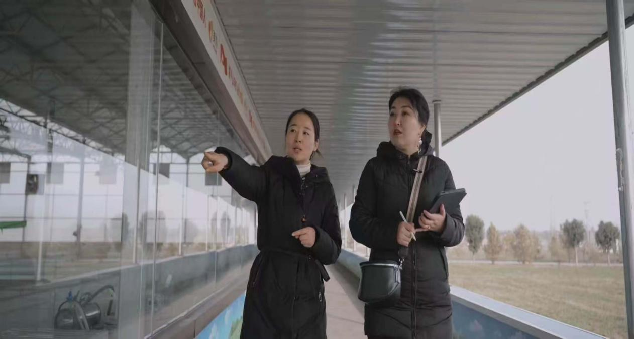 渭南兩部作品榮獲第七屆“一帶一路”百國印記短視頻大賽大獎 國際傳播展現中國鄉村振興魅力_fororder_圖片4