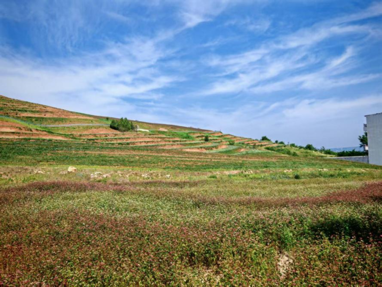【縣聲奪人】文旅活水滋養藍田青山綠水_fororder_圖片2