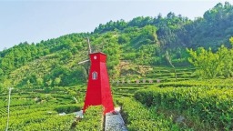 安康茶人的茶旅融合夢