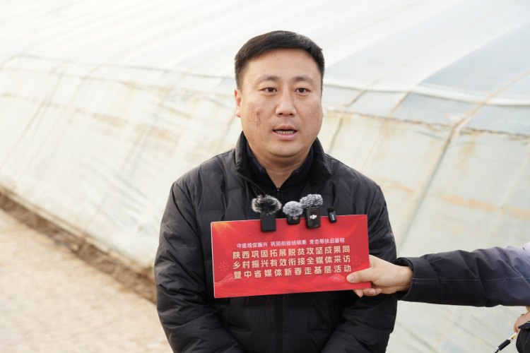 新春走基層 | 佳縣朱官寨鎮：讓産業之花在黃土高原綻放