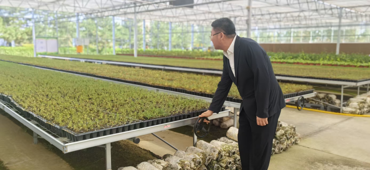 從毛烏素沙地到智慧苗圃：榆林靖邊馮家峁林場的“綠色革新”