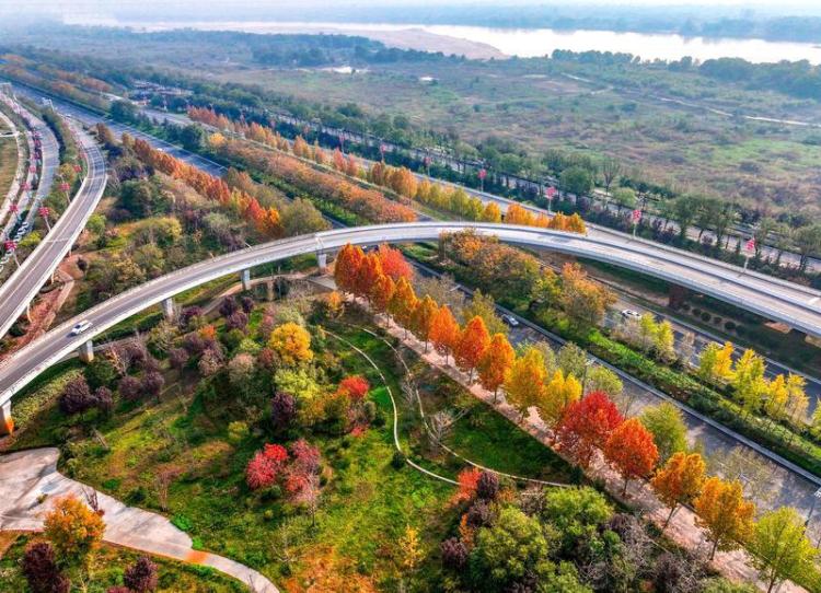 秦漢新城渭河北岸冬日盛景