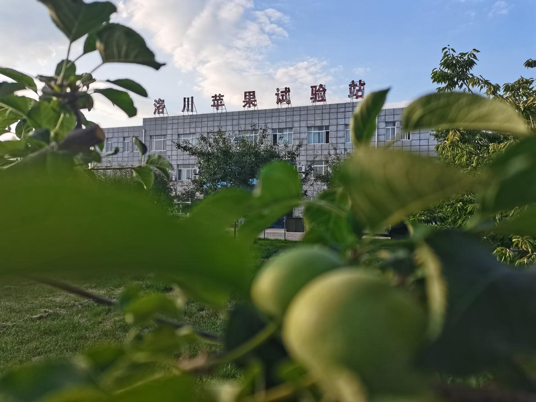 走出楊淩看示範｜洛川蘋果試驗站以創新為引打造增收致富“金果子”_fororder_圖片1
