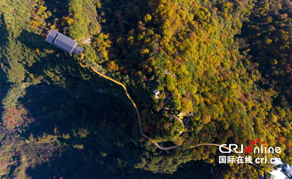 【至“陜”至美】少華秋色“醉”遊人_fororder_圖片8