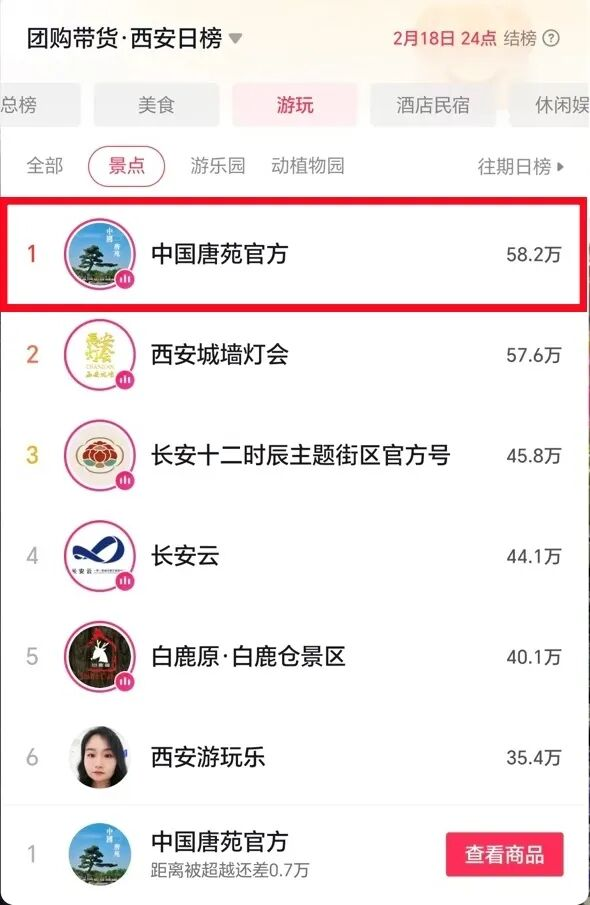 馬年新春添盛景 中國唐苑20萬株鬱金香驚艷綻放_fororder_圖片3