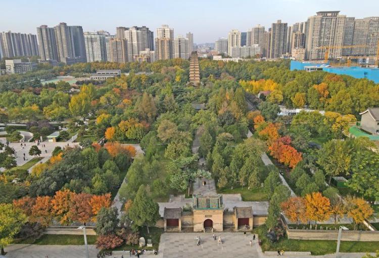 秋日小雁塔風景美