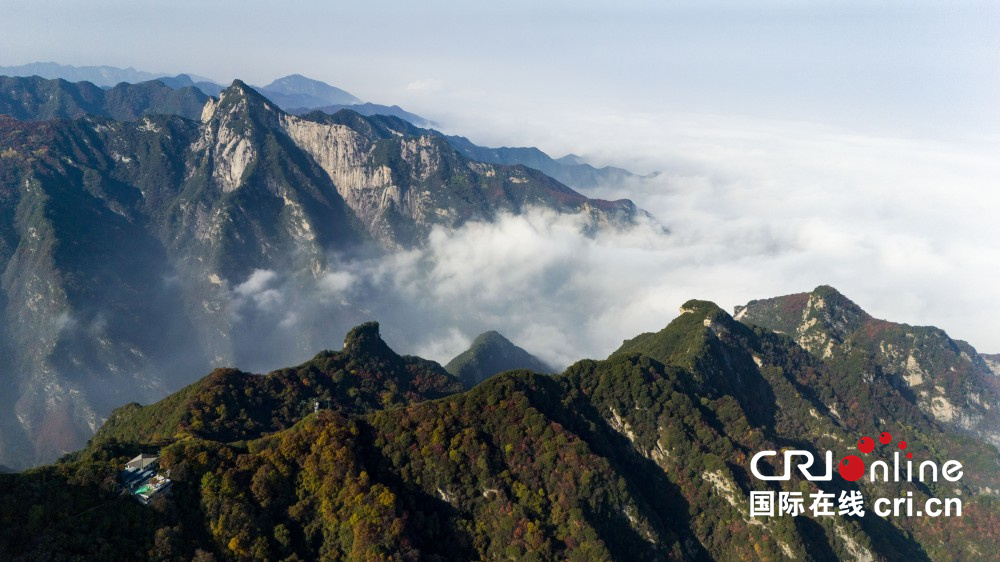 【至“陜”至美】少華秋色“醉”遊人_fororder_圖片9