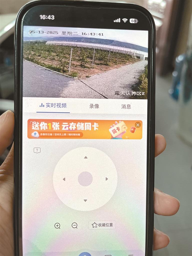 “甜蜜産業”鋪就鄉村振興幸福路_fororder_微信圖片_20250515091716