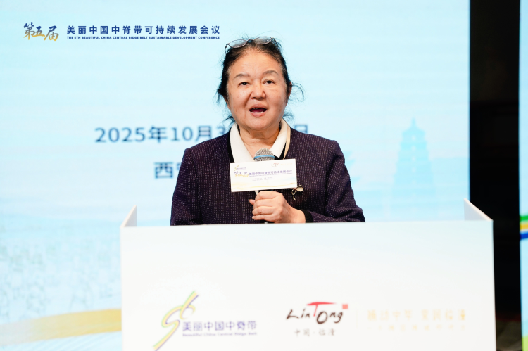 探尋守護文明脈絡 專家學者探討“遺産保護與可持續發展理論技術”_fororder_圖片1