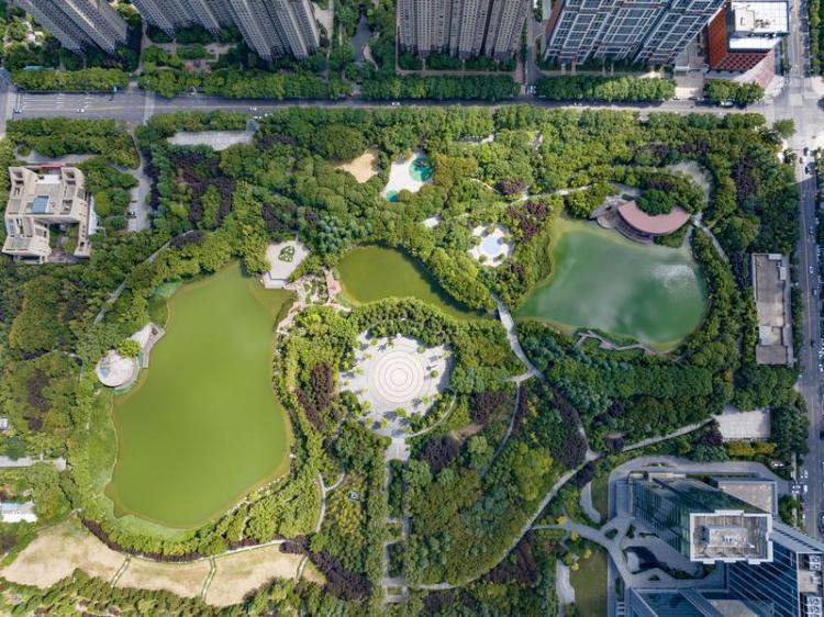 中湖公園 綠意盎然