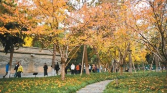 這就是文化傳承最美妙的方式