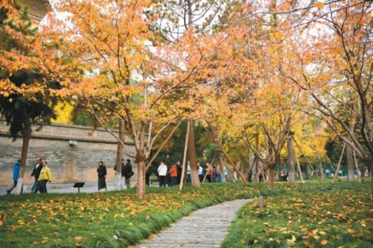 這就是文化傳承最美妙的方式_fororder_微信圖片_20251113085250_783_356