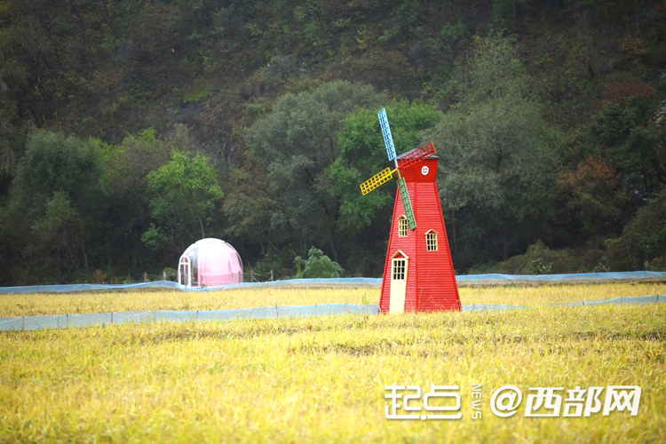 追尋紅色足跡 五里橋田園綜合體繪就鄉村振興新圖景