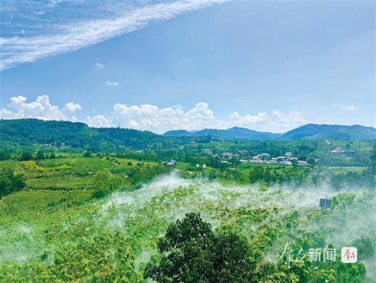 “一根絲”拉長富民産業鏈