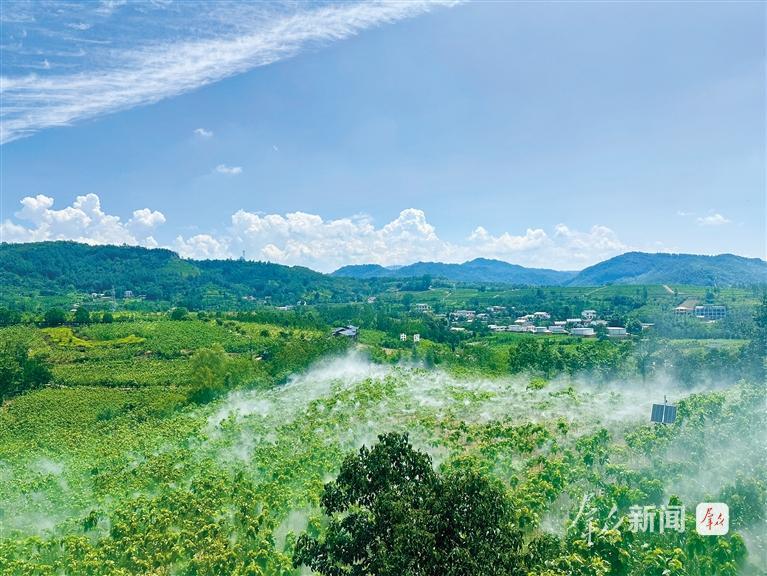 “一根絲”拉長富民産業鏈
