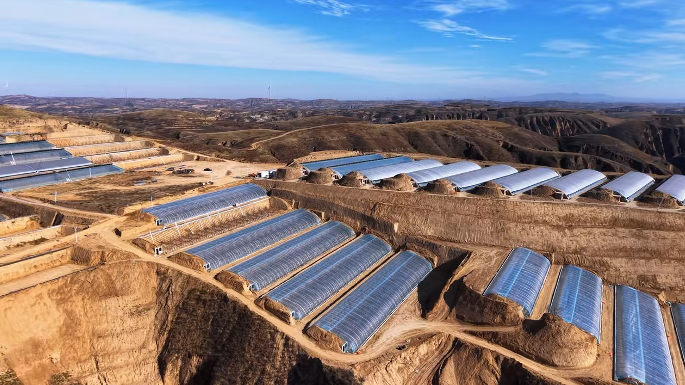 新春走基層 | 佳縣朱官寨鎮：讓産業之花在黃土高原綻放