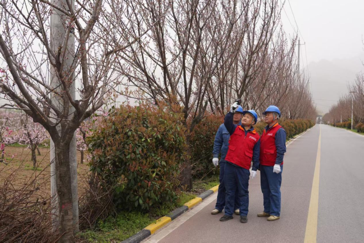 國網西安市長安區供電公司：頂風逆行護銀線 線路巡視保安全_fororder_圖片1
