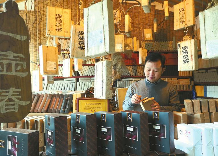 西鹹新區：一壺茯茶，煮沸返鄉創業情