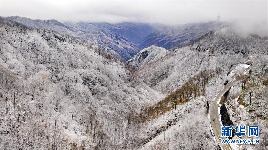 秦嶺初雪