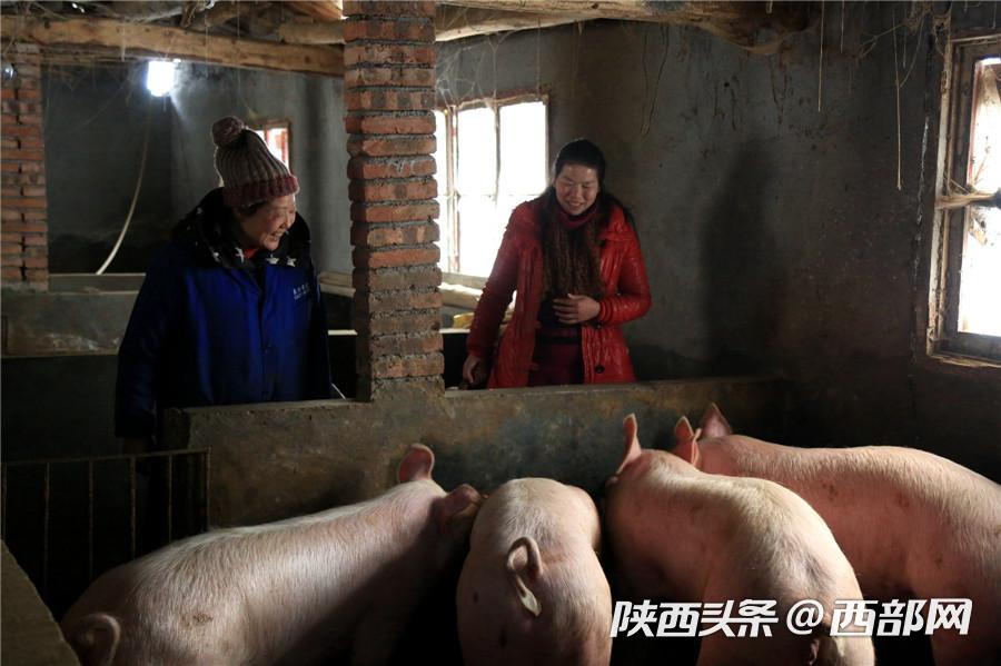 "臘肉女王"高安秀：臘肉廠是父親半生心血 一定要做紅火