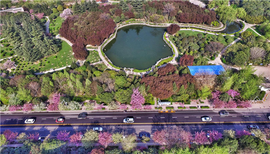 “一帶一路”駐華外交官走進西安  感受古都新時代發展魅力