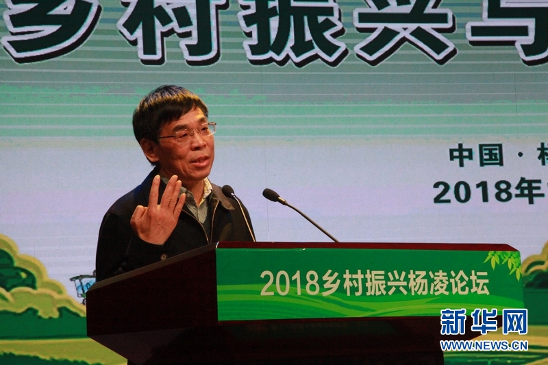 宋洪遠：以農民為主體 通過一二三産業融合發展促進鄉村振興
