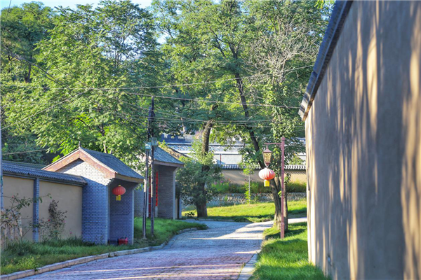 （有修改）陜西洛川：“外美內實” 鄉村振興路上熱氣騰騰