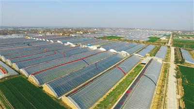 精準扶貧常態化 一年四季不停歇 高陵區脫貧攻堅不斷創出新路徑