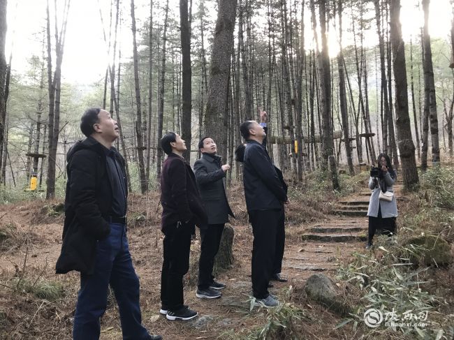 陜西省文化和旅遊廳顧勁松一行赴寧陜調研國家全域旅遊示範縣創建工作