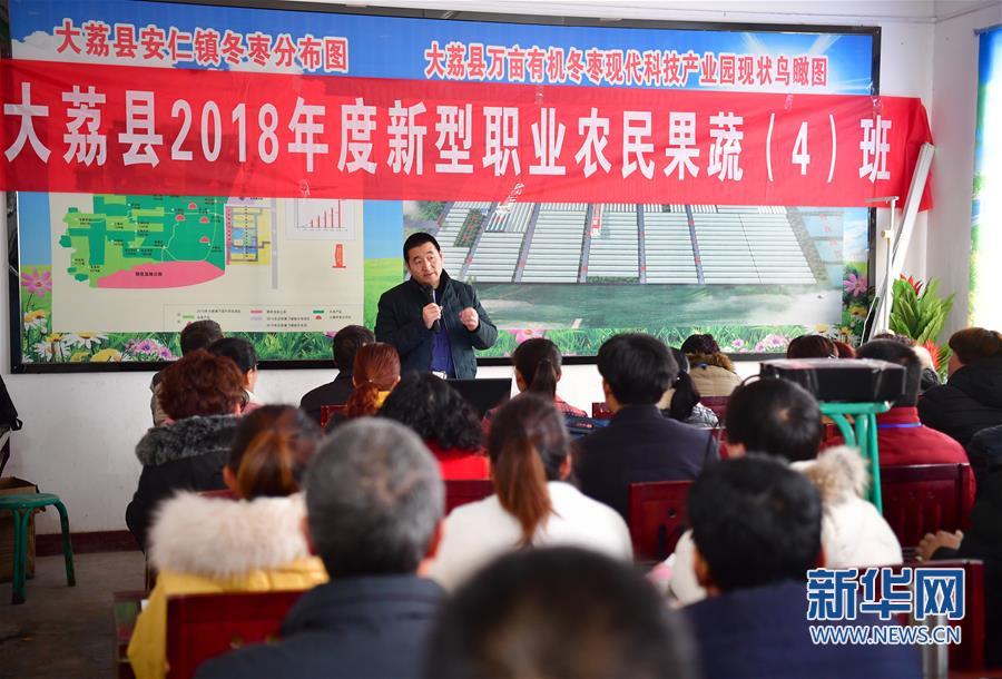 站在小坡向東望 鹽鹼地裏新氣象