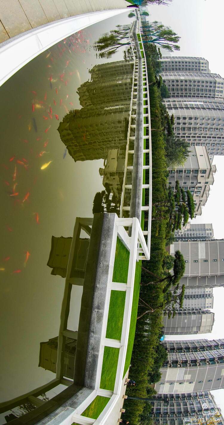 長安中央公園中段、南段即將開放 來看長安的“全域治水經驗”