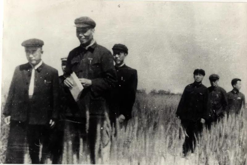 弦歌西向樹豐碑