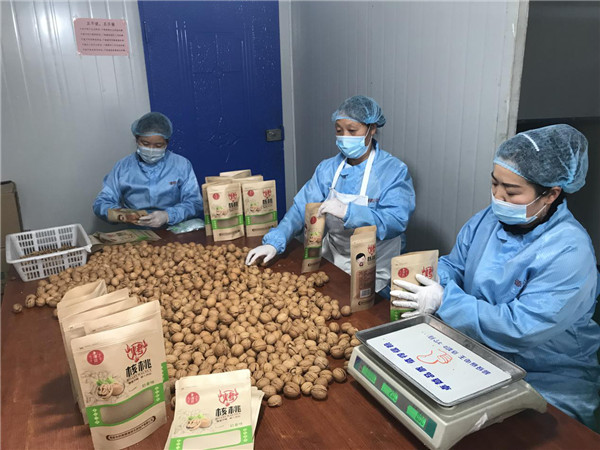 （有修改）【文化扶貧在行動：陜西篇】渭南市橋南鎮：變傳統為特色 “核桃”助力鄉村振興