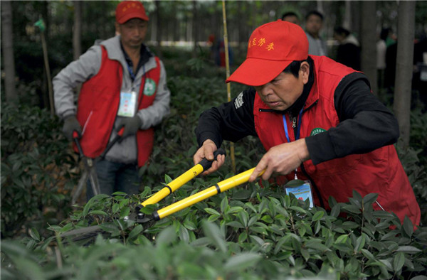 （“周至好阿美月嫂”  已確認）西安市周至縣：以賽促訓穩就業打造優質勞務品牌