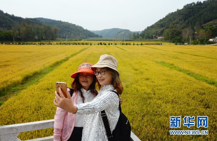 山梁溝峁間繪就脫貧致富新畫卷