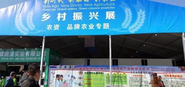 【三秦大地 西安 +移動列表】小小柿子樹，結出鄉親“致富果”