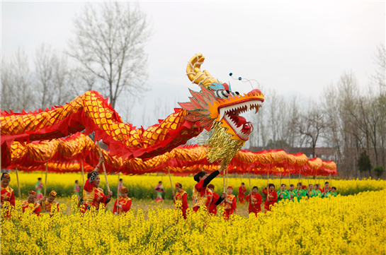 陜西漢中現“龍”行花海景象