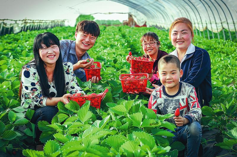 扶貧路上的國企擔當