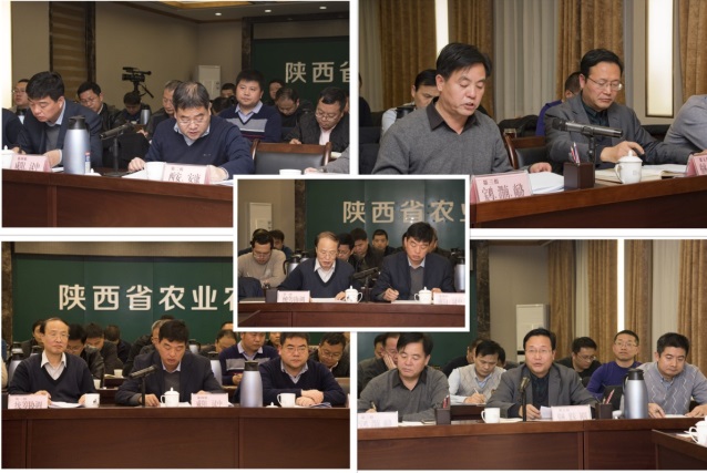 陜西把指導服務開展到産業扶貧最前沿 奮力打贏脫貧攻堅戰