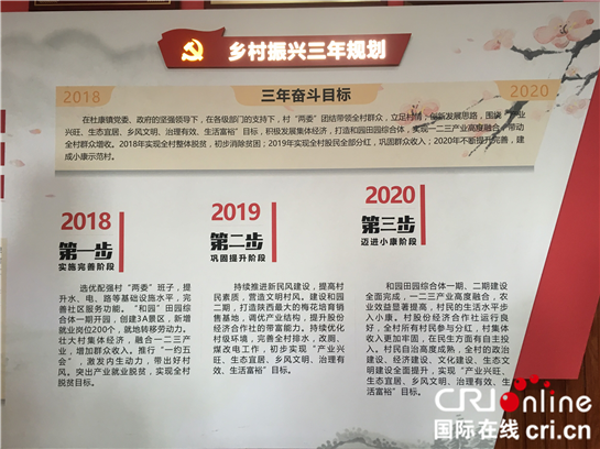 【網絡媒體走轉改】第一書記宋倩苗：用真情聚民心 兩年包聯讓渭南和家卓村退出貧困村