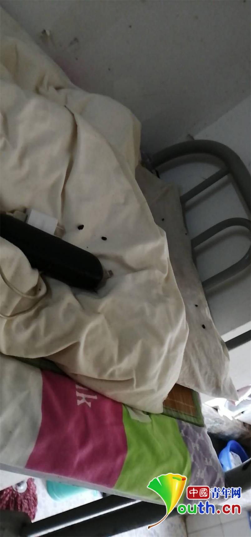 西安某高校現一例出血熱死亡病例 學校：已安排宿舍其他同學搬離 徹底消毒