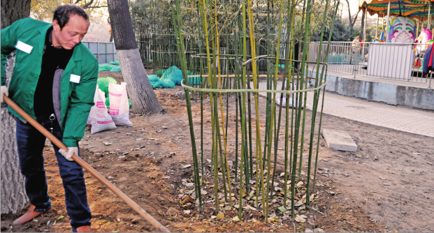 西安“拆墻透綠、還綠於民”打造宜居生活環境