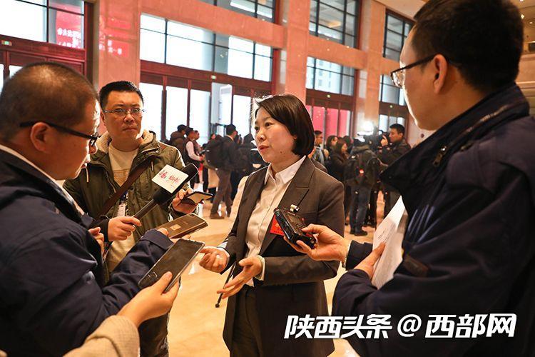 陜西省人大代表熱議政府工作報告